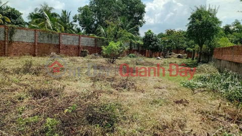 ĐẦU TƯ SINH LỜI – CẦN BÁN GẦN 1.000M² LÔ ĐẤT VƯỜN, Đ. Tam Đa, P. Long Phước, Q.9, TP.HCM _0