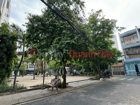 Land for sale in Park, Alley 10m, Area 4x20m - Tan Son Nhi Ward _0