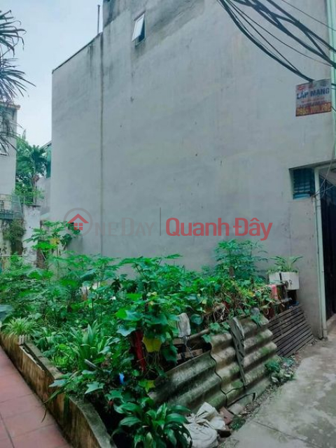 Land for sale in Dai Dong - Vinh Hung, 52m mt, 4.8m 3 billion _0