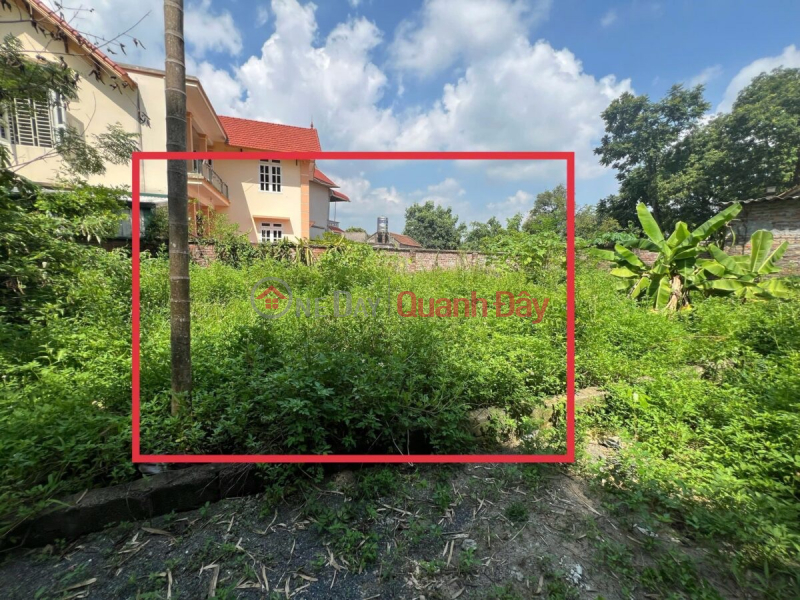 CHÍNH CHỦ CẦN BÁN LÔ ĐẤT 50M TẠI THANH BÌNH-CHƯƠNG MỸ-HÀ NỘI Niêm yết bán