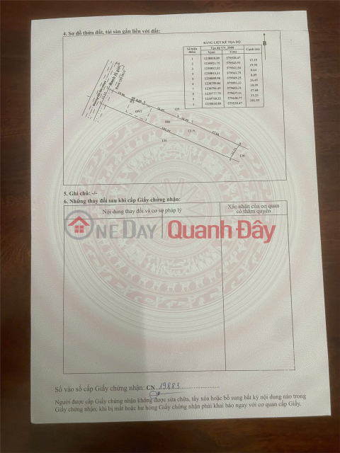 HOT HOT - CHÍNH CHỦ BÁN ĐẤT MẶT TIỀN HỐ BÒ –tại XÃ AN NHƠN TÂY, HUYỆN CỦ CHI, TP. HỒ CHÍ MINH _0