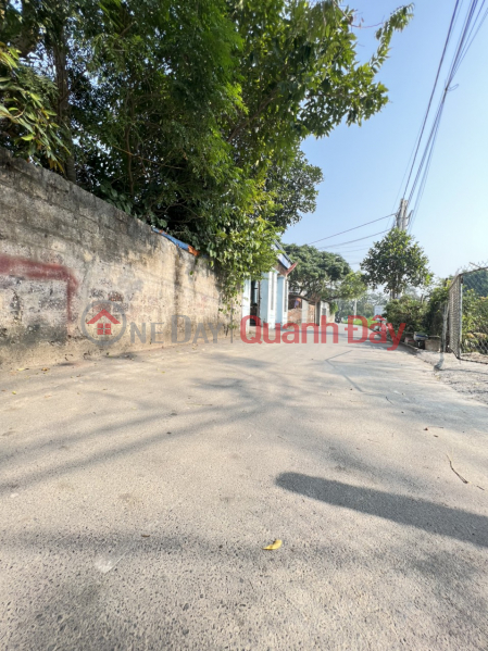 Property Search Vietnam | OneDay | Residential Sales Listings The only plot of land in Giang Chinh Bien Giang Ha Dong Hanoi Dt: 50 m road, comfortable for cars and trucks to avoid each other