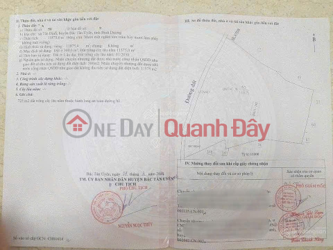 Siêu Lô Đất Mặt Tiền - Đầu tư là sinh lời - Xã Tân Định, Bắc Tân Uyên, Bình Dương _0