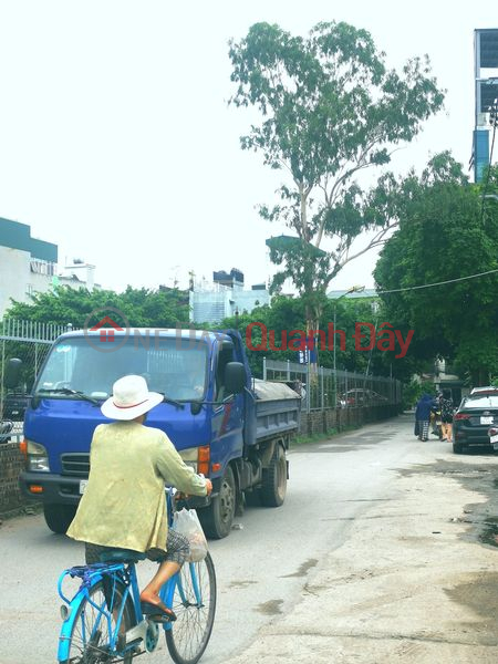 Selling land at lane 79 Thanh Dam 40m mt5m car door to door Vietnam | Sales đ 4.7 Billion