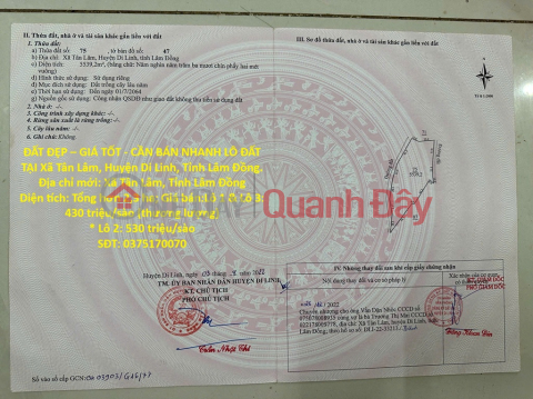PRIME LAND – GREAT PRICE - URGENT SALE OF LAND PLOT IN TAN LAM COMMUNE, DI LINH DISTRICT, LAM DONG PROVINCE _0