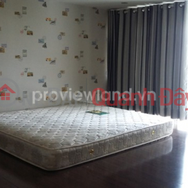 Apartment for rent in Phu Hoang Anh, Loft view, Phu My Hung, cheap price _0