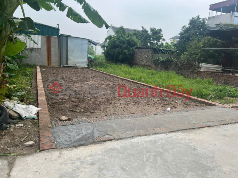 Bán đất thôn Ấp Tre (Tổ 9) Quang Minh, TP Hà Nội. Đường thông bàn cờ, full thổ cư, oto đỗ _0