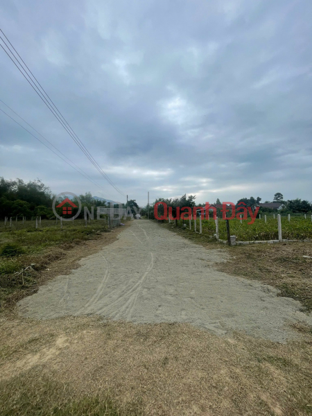 OWNER WANTS TO SELL A BEAUTIFUL, WIDE-FRONT PLOT OF LAND IN DIEN BINH COMMUNE, DIEN KHACH DISTRICT, 100% RESIDENTIAL LAND. Sales Listings