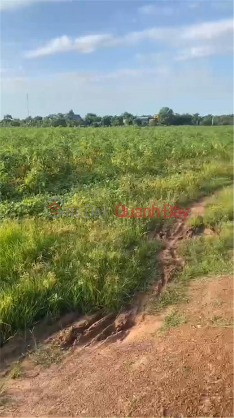 BEAUTIFUL LAND - OWNERS Quickly Sell Land Plots Beautiful Location In Dak Lak Province - Investment Price _0