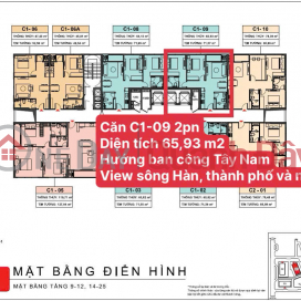 Căn hộ cao cấp 2PN view sông Hàn, sở hữu lâu dài _0