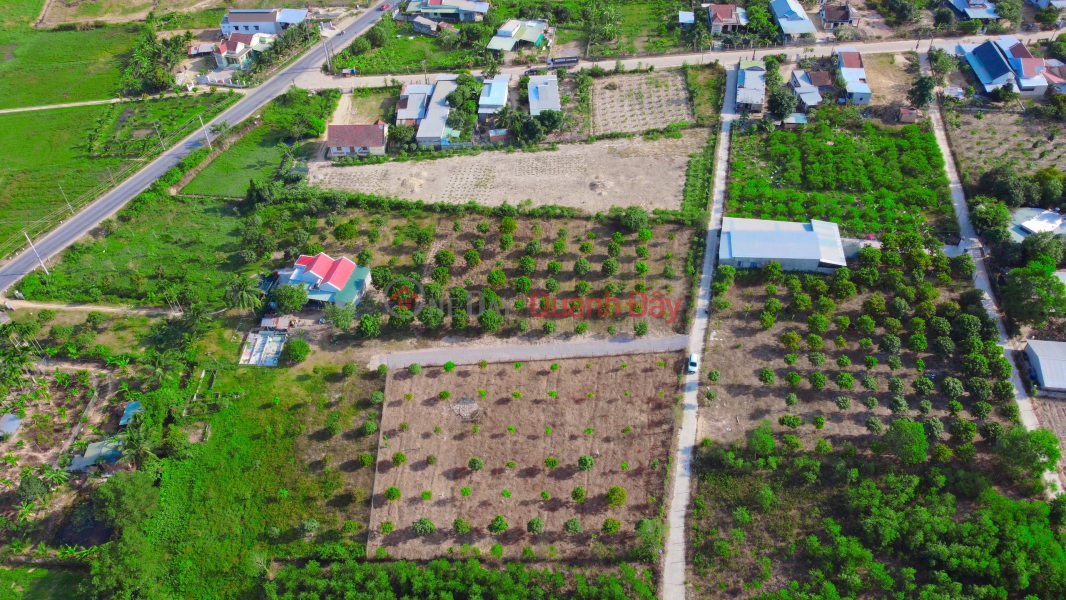 Suoi Tien - Dien Khanh QH residential land price only from 2 million to 2 million \\/ m2 - Contact 0901 359 868 Sales Listings