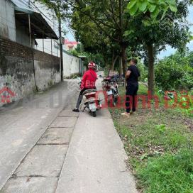 Selling land with red book owner in Dai Lan, Duyen Ha, Thanh Tri. _0