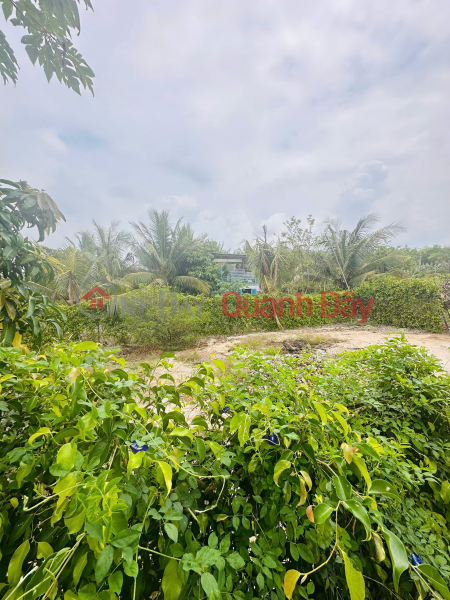Catch the Vung Tau Infrastructure Wave - Own a Prime 400m² Plot of Land at Greenery House Long Tan Sales Listings