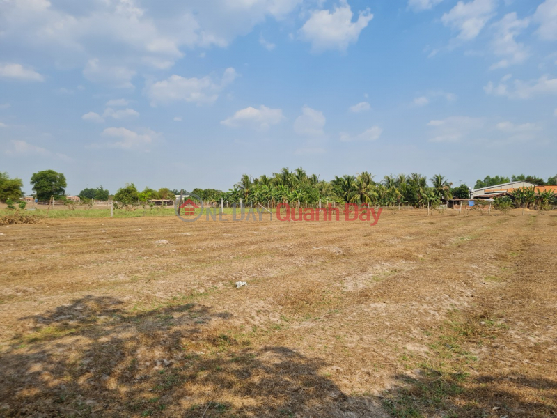 Property Search Vietnam | OneDay | Sales Listings, Land for sale at the front of Loc Binh 6 street, Loc Giang commune, Duc Hoa District, Long An province
