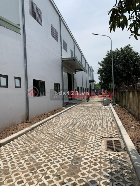 WAREHOUSE LAND FOR SALE IN NINH HIEP INDUSTRIAL CLUSTER - GIA LAM - HANOI. _0