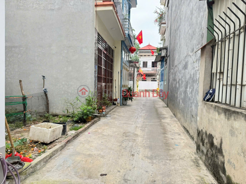 50m² land for sale in Group 3, Quang Minh, Me Linh, Hanoi. Accessible road, parking available. Near industrial zone. | Vietnam Sales, đ 3 Billion