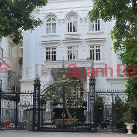 New house for rent by owner, 45m2x4T, Business, Office, Hai Ba Trung-30M _0