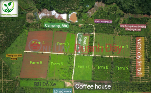 Selling land on Southern Pleiku Farm for 200 million\/1000m2 10% discount _0