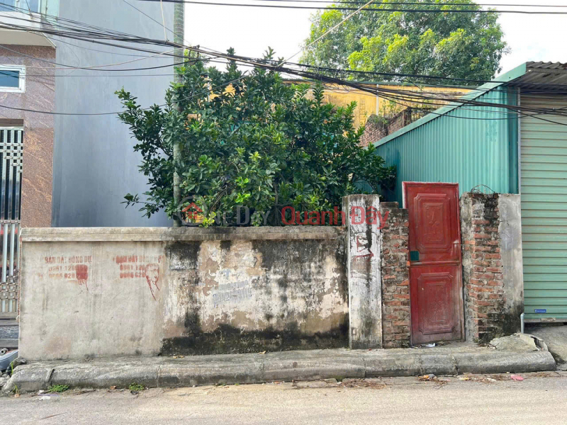 Owner needs to sell 59 m2 on Dong Du - Bat Trang street, price 8 billion, Vietnam, Sales đ 8 Billion