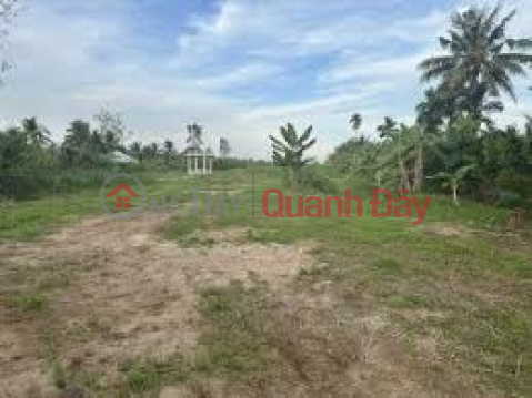 Owner urgently needs to transfer agricultural land plot at 1 lane of Duong Ky Hiep street, Ward 2, Soc Trang city, Soc Trang province _0