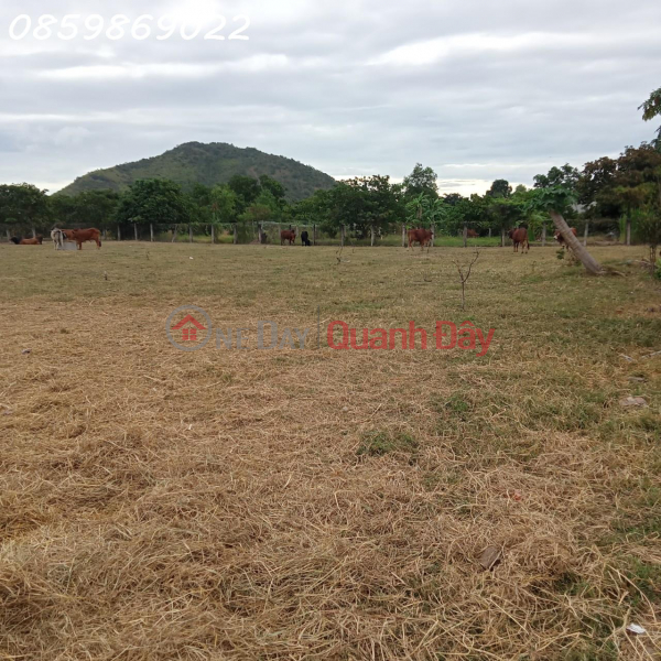 OWNER NEEDS TO QUICKLY SELL A LOT OF LAND WITH A GOOD LOCATION IN HONG LIEM, Vietnam, Sales, ₫ 2.5 Billion