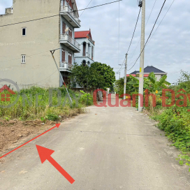 Đất đẹp thôn Ấp Tre (Tổ 9),Quang Minh, TP HN. Đất full thổ cư, đường thông bàn cờ, oto đỗ _0
