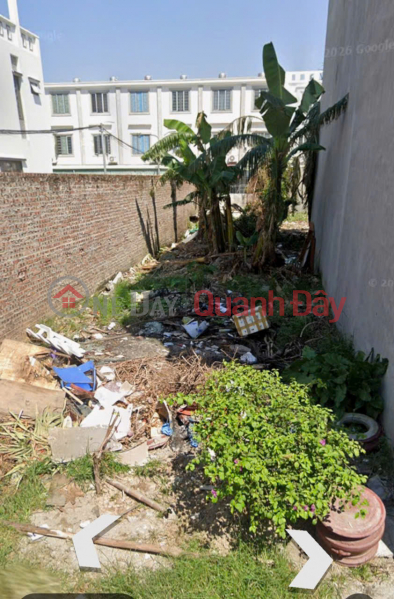 Property Search Vietnam | OneDay | Residential, Sales Listings, Land plot on Dang Hai road - near Lung Dong - 100m² - 5m frontage - Cheap price