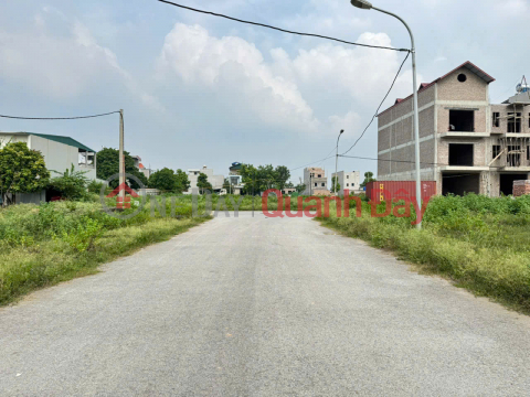 Bán đất khu đô thị Chi Đông, Mê Linh, HN. Đường nhựa, vỉa hè cực đẹp _0