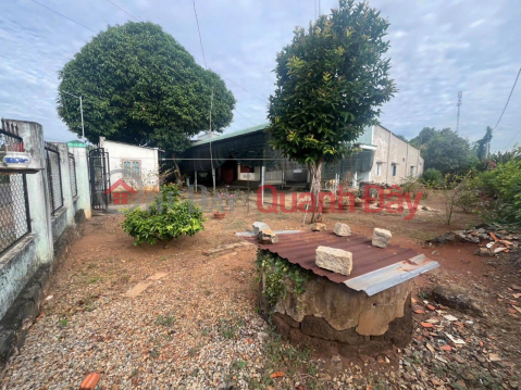 Owner Needs to Sell Land in the Center of Hoa Long Commune, Ba Ria City, Ba Ria Vung Tau Province. _0