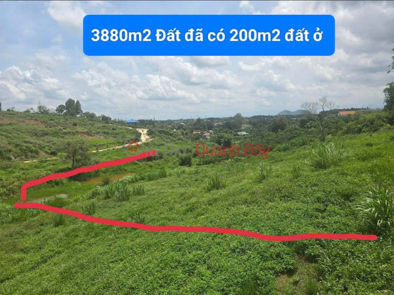 3880m2 land for sale in Ninh Gia, Duc Trong, Lam Dong, 3.9 billion VND. Sales Listings
