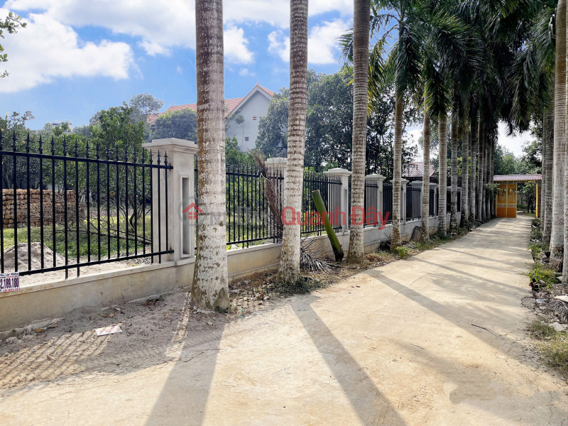 BÁN GẤP - ĐẤT CỰC HIẾM - View trực diện hồ Hòa Lạc siêu VIP - Gần trường đại học, khu công nghệ cao Việt Nam, Bán đ 3,5 tỷ