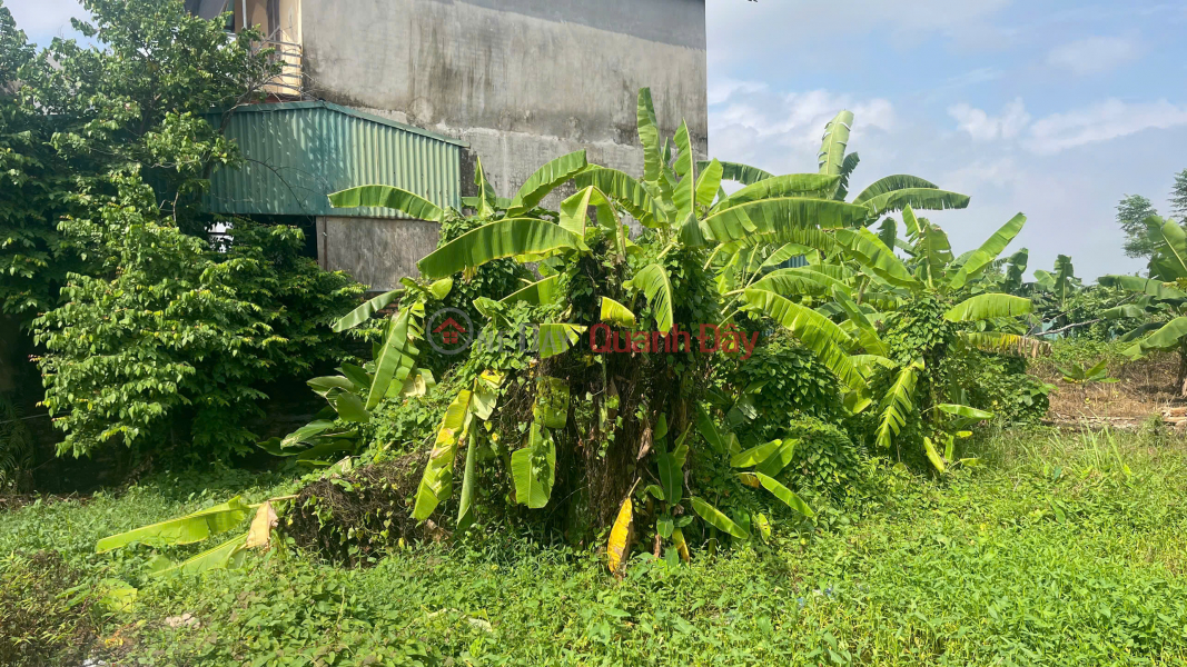 đ 3.3 Billion | FOR SALE: 42 m2 LAND IN NGOC DONG – BAT TRANG, FRONTAGE 4.3M, ONLY 3.3 BILLION VND, CONTACT 0985865658