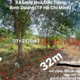 Two adjacent plots of land for sale, large area suitable for investment, building warehouses, factories, businesses, or garden houses. _0