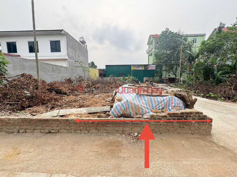 Bán Đất Lô Góc Kim Hoa, Mê Linh, Hà Nội – Cơ Hội Vàng Đầu Tư Cực Hấp Dẫn | Việt Nam Bán | đ 3,7 tỷ