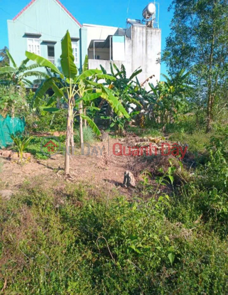 Property Search Vietnam | OneDay | Residential Sales Listings, OWNER NEEDS TO SELL A Plot Of Land In Binh Duc Village, Cat Tan Commune, Phu Cat District, Binh Dinh Province.