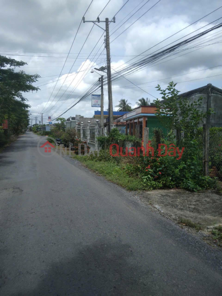 đ 1.2 Billion | HOT !!! Owner - Good Price - Land for Sale in Binh Dong Trung - Binh Nhi Commune - Go Cong Tay - Tien Giang