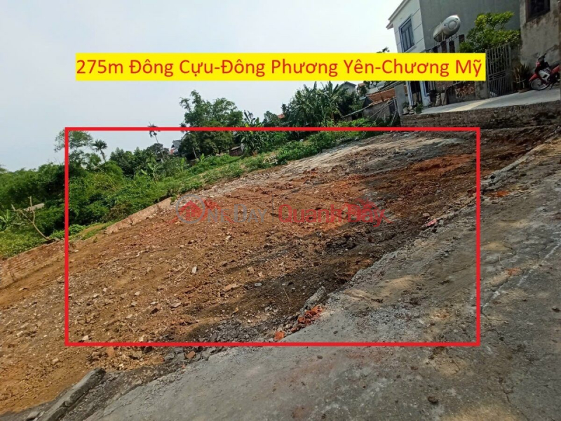 OWNER NEEDS TO SELL 275M2 LAND LOT IN DONG PHUONG YEN-CHUONG MY-HANOI Sales Listings
