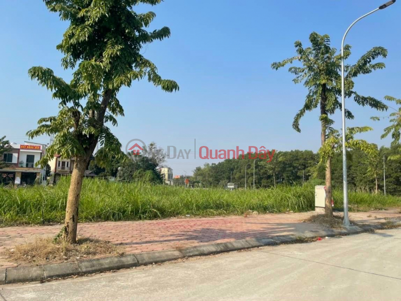 LAND FOR SALE AT AUCTION OF BEO CHUONG MY 107.5M2 Sales Listings