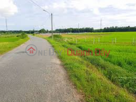 Urgent sale of land plot at 1 set of Phu Thuan street, Phu My Hung commune, Cu Chi district, Ho Chi Minh City _0