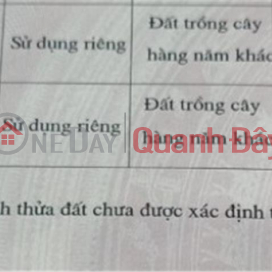 ĐẤT ĐẸP - GIÁ TỐT - Cần Bán Nhanh Lô Đất Vị Trí Đắc Địa Tại Sài Sơn, Quốc Oai, Hà Nội _0