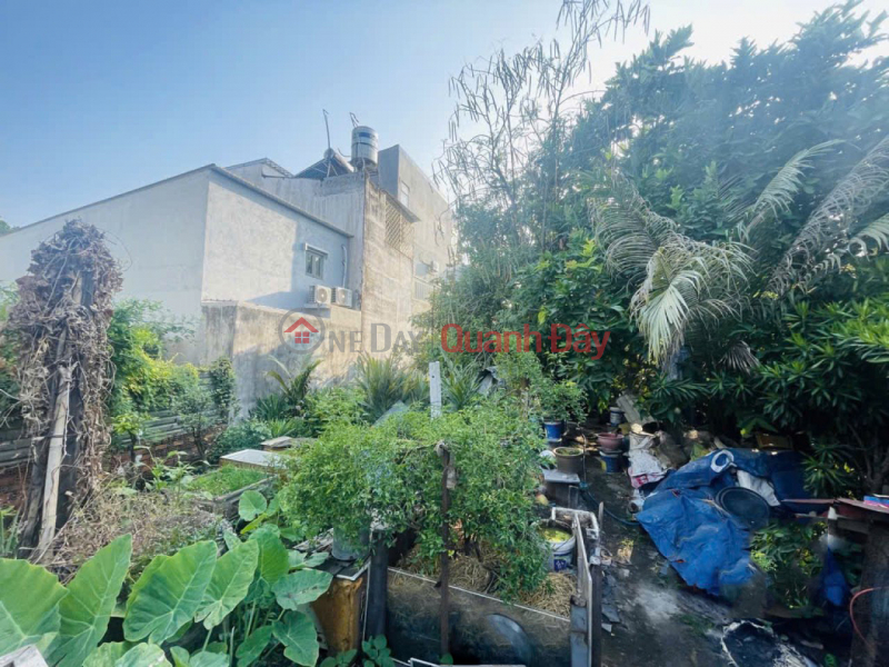 Property Search Vietnam | OneDay | Nhà ở, Niêm yết bán, Giảm 11 tỷ! 0.5Ha Đất Mặt tiền Quốc Lộ 1A - An Phú Đông Quận 12