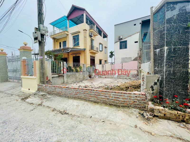 Right next to the auction wall X1, X6 Nguyen Khe, cheaper than 20 prices, land plot 86m, car road to the house, 200m out to Highway 3 Sales Listings