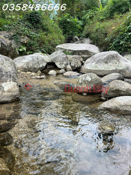 Owner needs to sell 40,000m2 of land for eco-tourism resort in Luc Binh commune, Bac Kan province, price only 3txyz Vietnam Sales, đ 3.6 Billion