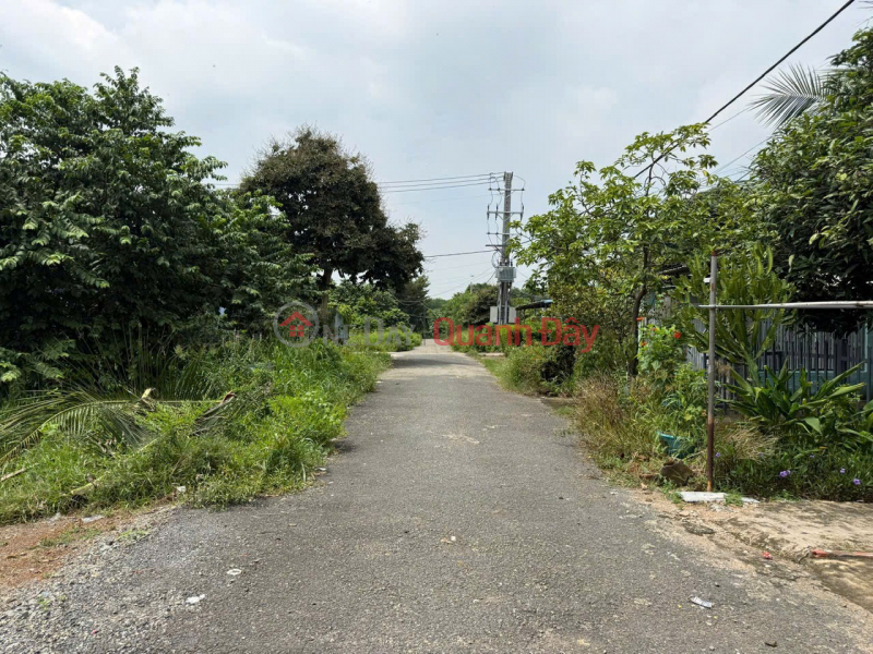 đ 2.6 Billion, PROFITABLE INVESTMENT OPPORTUNITY - Owner Selling Land Plot in Toc Tien, Chau Pha, Ba Ria Vung Tau