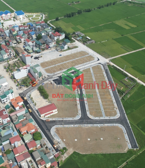 Land for sale at auction in Duc Tu, Dong Anh - 90m - MT 6m - Nice infrastructure - Price 4x _0