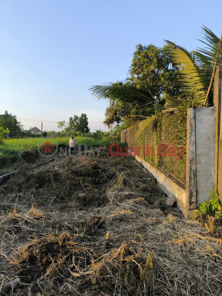 đ 800 triệu, Nhanh Tay Sở Hữu Ngay Lô Đất Đẹp - Giá Ưu Đãi Đường Nguyễn Văn Lãnh, Xã Mỹ lệ, Cần Đước, Long An