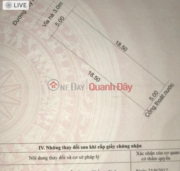 Land for sale on Bau Mac 20 Street - Lien Chieu - Da Nang Sales Listings