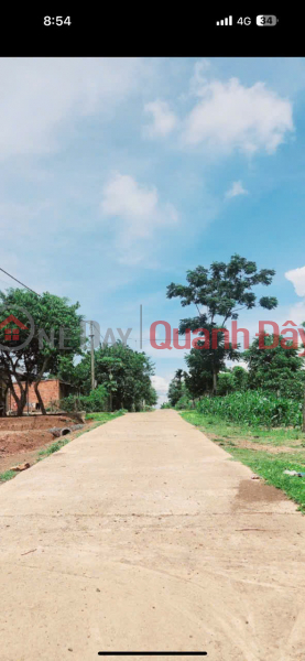 Property Search Vietnam | OneDay | Nhà ở Niêm yết bán | CƠ HỘI ĐẦU TƯ SINH LỜI CAO, CHỈ 295TR SỞ HỮU LÔ ĐẤT TẠI EA DRÔNG, BUÔN HỒ, ĐẮK LẮK.