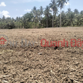 Owner Urgently Sells 11 Lots of Land in Phu Quy Hamlet, Vinh Huu Commune, Go Cong Tay, Tien Giang _0