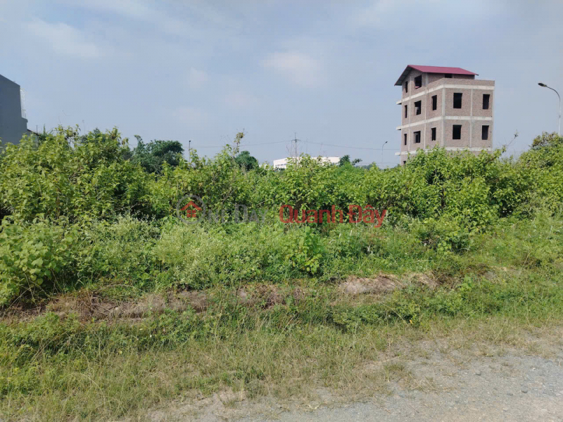 Property Search Vietnam | OneDay | Residential, Sales Listings Land for sale in Chi Dong urban area, Me Linh, Hanoi. Near industrial park and ring road 4